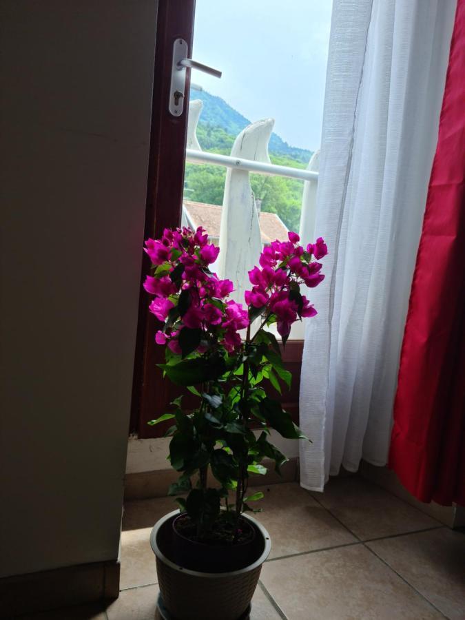 Appartement Route De Cursinges Cervens エクステリア 写真
